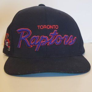 Toronto Raptors Hat